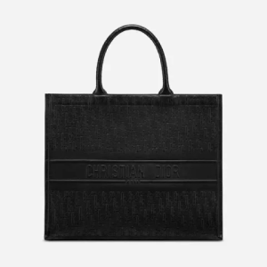 Dior Book Bag